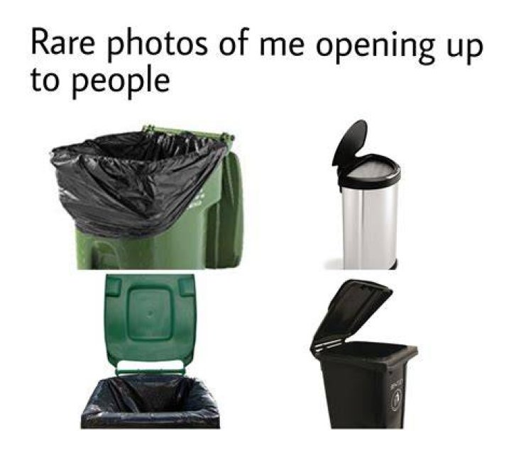 A Deep Dive Into The Simplehuman Trash Can Box Meme