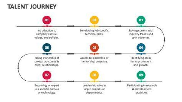 A Journey Of Talent And Insight