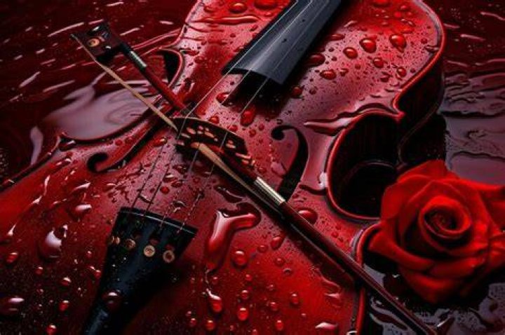 A Symphony Of Love And Style