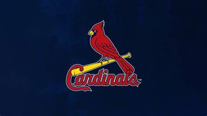 Cardinals' Marquise 'Hollywood' Brown arrested for criminal speeding in