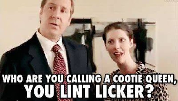 Discoveries With Orbit Commercial Lint Licker