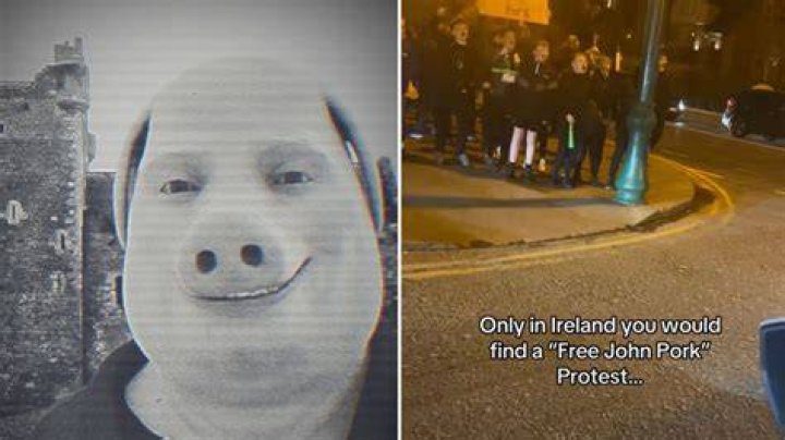 Dive Into The Enigma Of "John Pork Will Be Real"