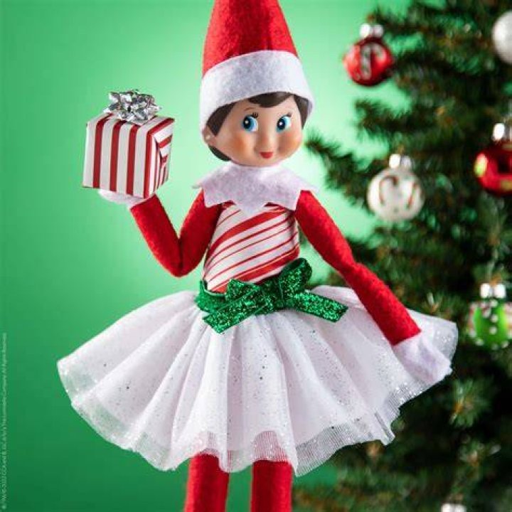 Elf on the Shelf A Christmas Tradition (blueeyed boy). Elf & Book