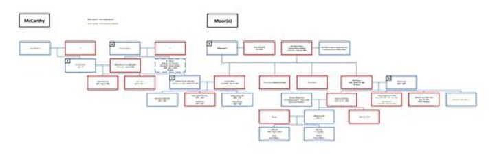 Family Tree Is JJ Mccarthy Related To Mike Mccarthy?