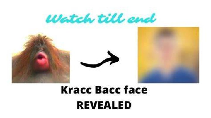 Has Kracc Bacc Done A Face Reveal? Heres Everything About The Youtuber ·