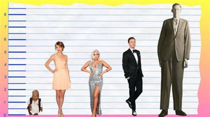 How Tall Is Taylor Swift? ·