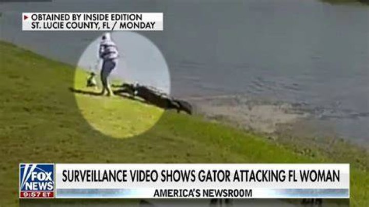 Insights Into Gator Attacks On Elderly Women