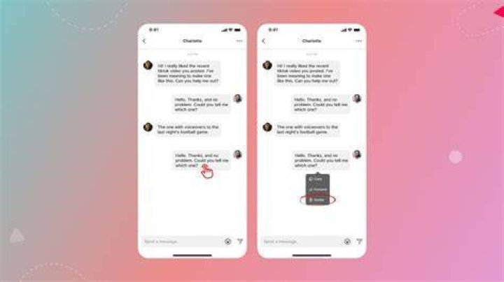 Master The Art Of Deleting Messages On TikTok