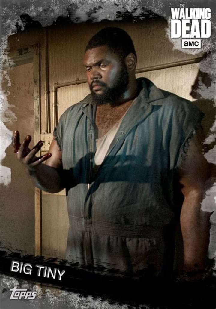 Pin on The Walking Dead Stuff and Thangs