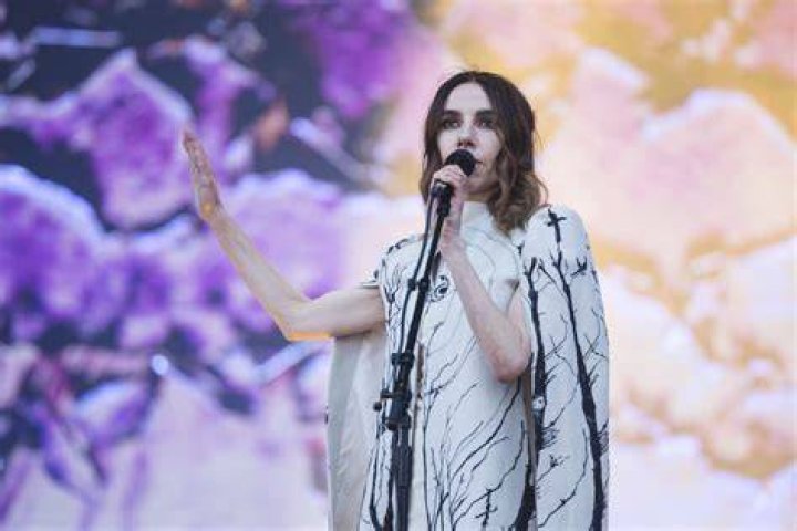 PJ Harvey Biography, Age, Height, Husband, Net Worth, Family