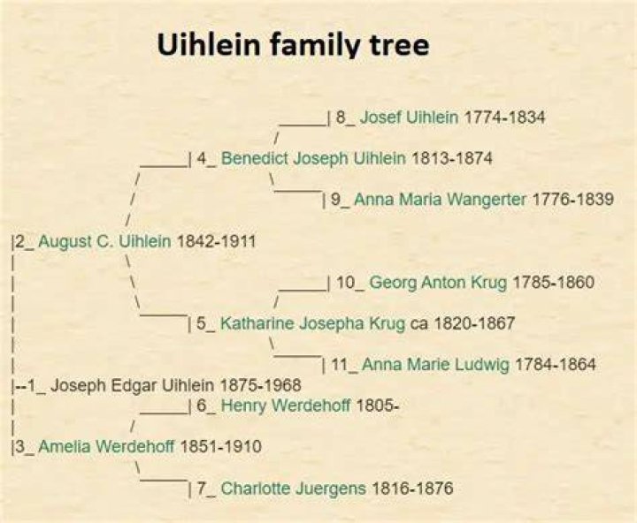 Richard Uihlein & Liz Uihlein Married, Children, Joint Family Tree & History ·