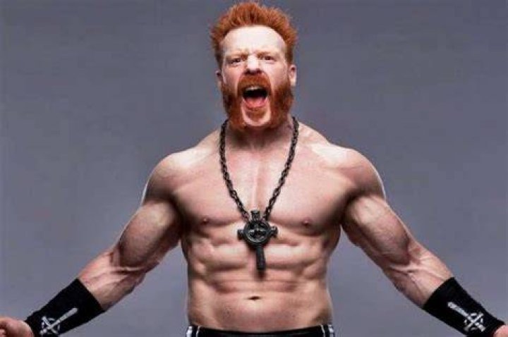 Sheamus Age, Wiki, Biography, wife, Children, Salary, Net Worth, Parents ·