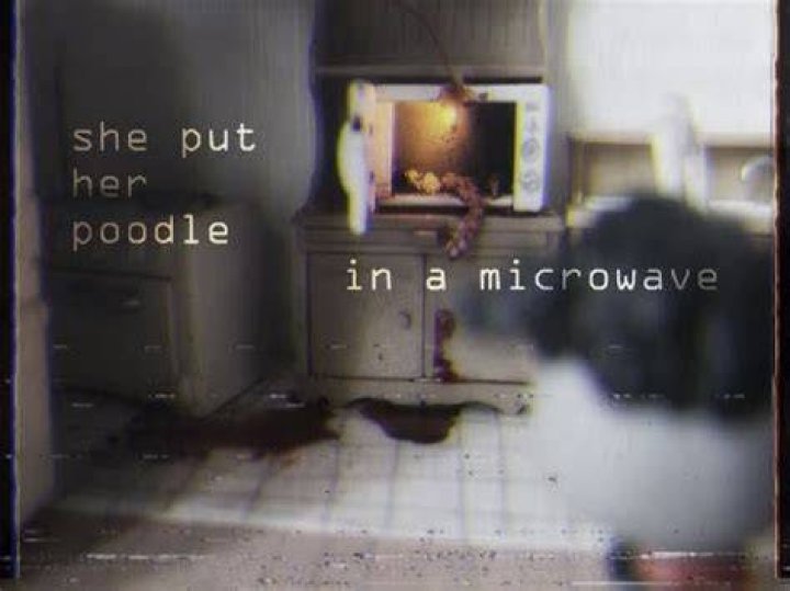 Uncover The Disturbing Truth Behind "She Put Her Poodle In The Microwave"