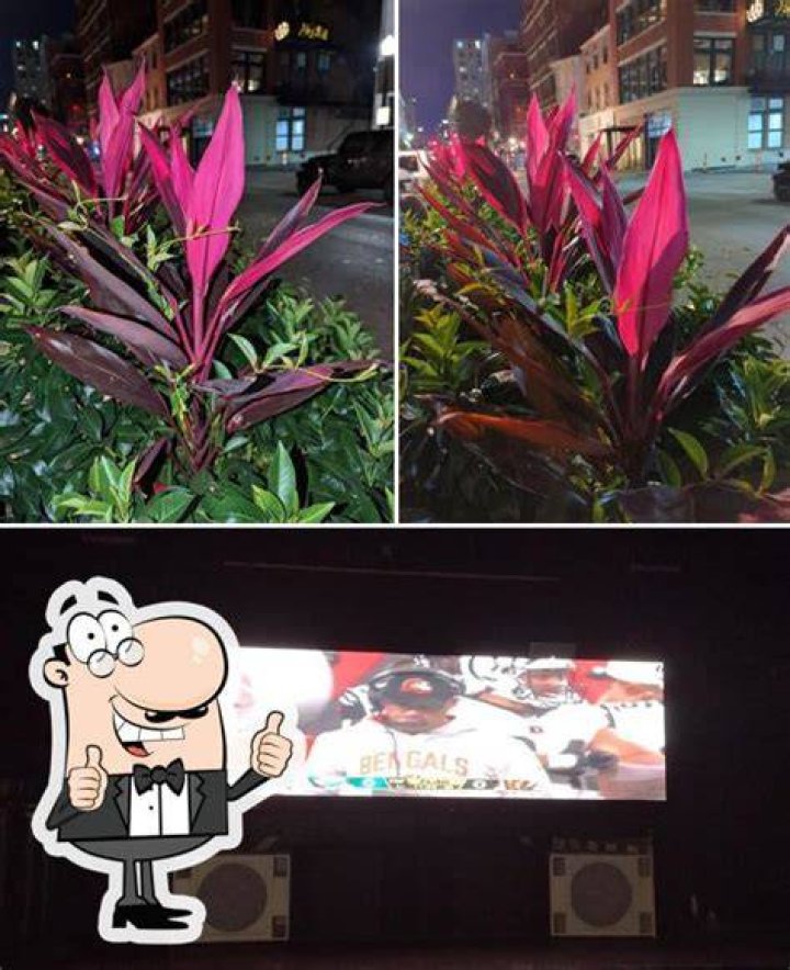 Uncover The Enchanting World Of "Tulua Nightclub And Cocktail Bar Photos"