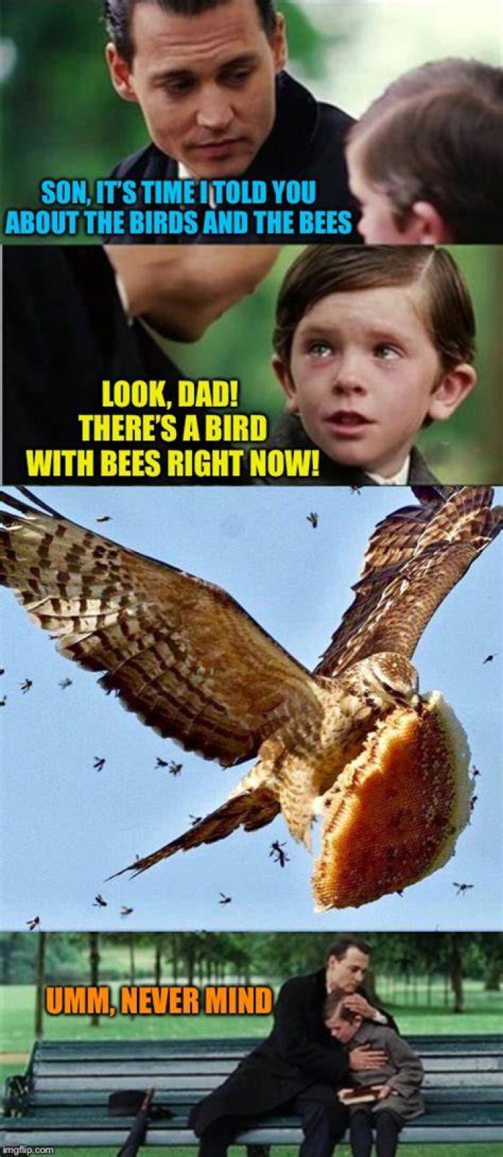Unlock The Secrets Of The Birds And The Bees Meme: A Journey Of Discovery