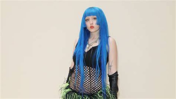 Unveiling The Persona And Artistry: Exploring "ashnikko Full Name"