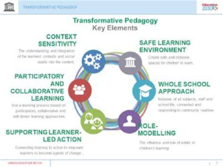 Unveiling The Transformative Legacy Of Liz Young In Education