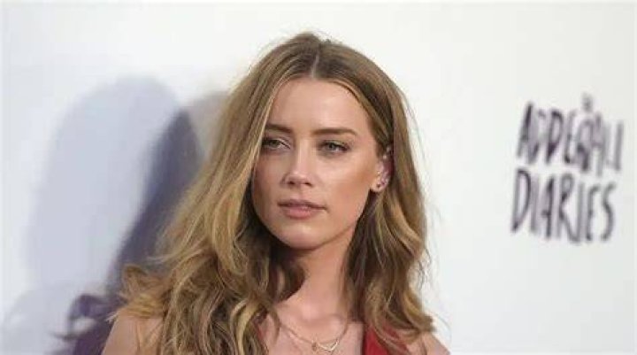 What Is Amber Heard's Net Worth? Details on Her Finances (EXCLUSIVE)