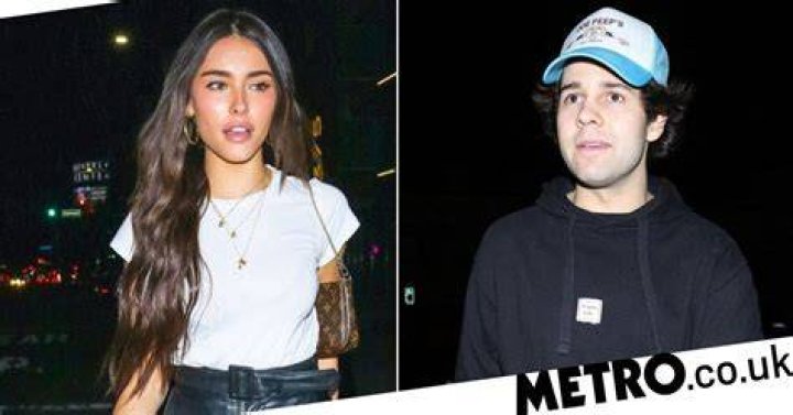 Who is David Dobrik Dating Now ·