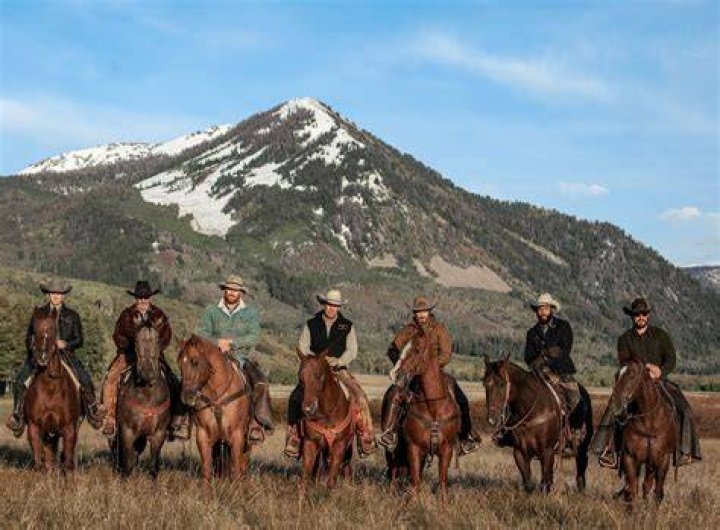 Who Owns The Horses On Yellowstone Tv Show? Celebrity ·