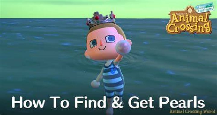 Your Guide to Collecting Pearls in Animal Crossing: New Horizons